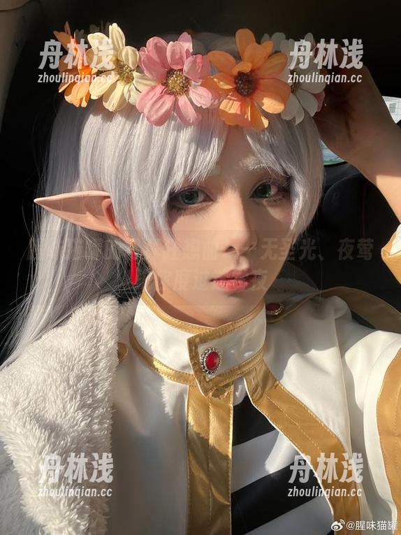腥味猫罐的写真狂想曲——无圣光、夜莺陪你度过迷雾夜